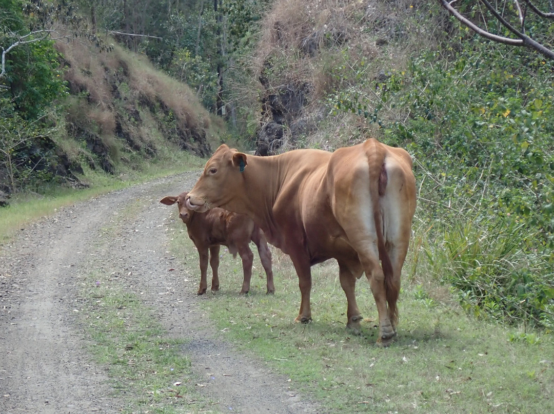 Out There Cycling-Blackbutt必去景点