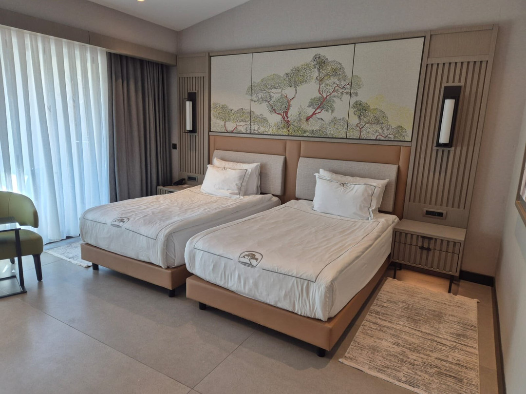 NG Phaselis Bay主图