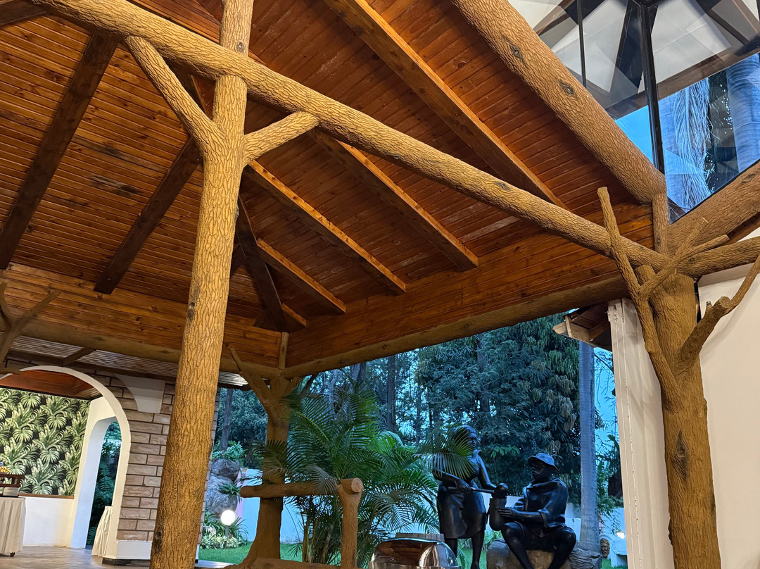 萨尔沙利诺酒店主图