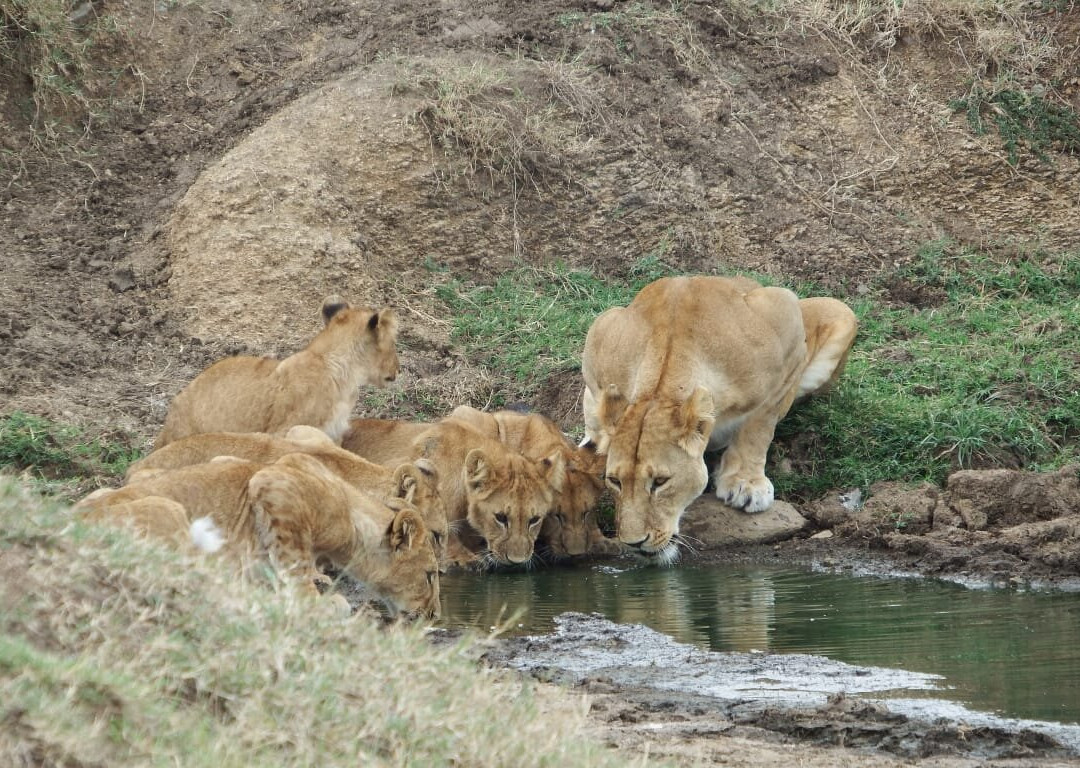 Africompass travel-内罗毕必去景点