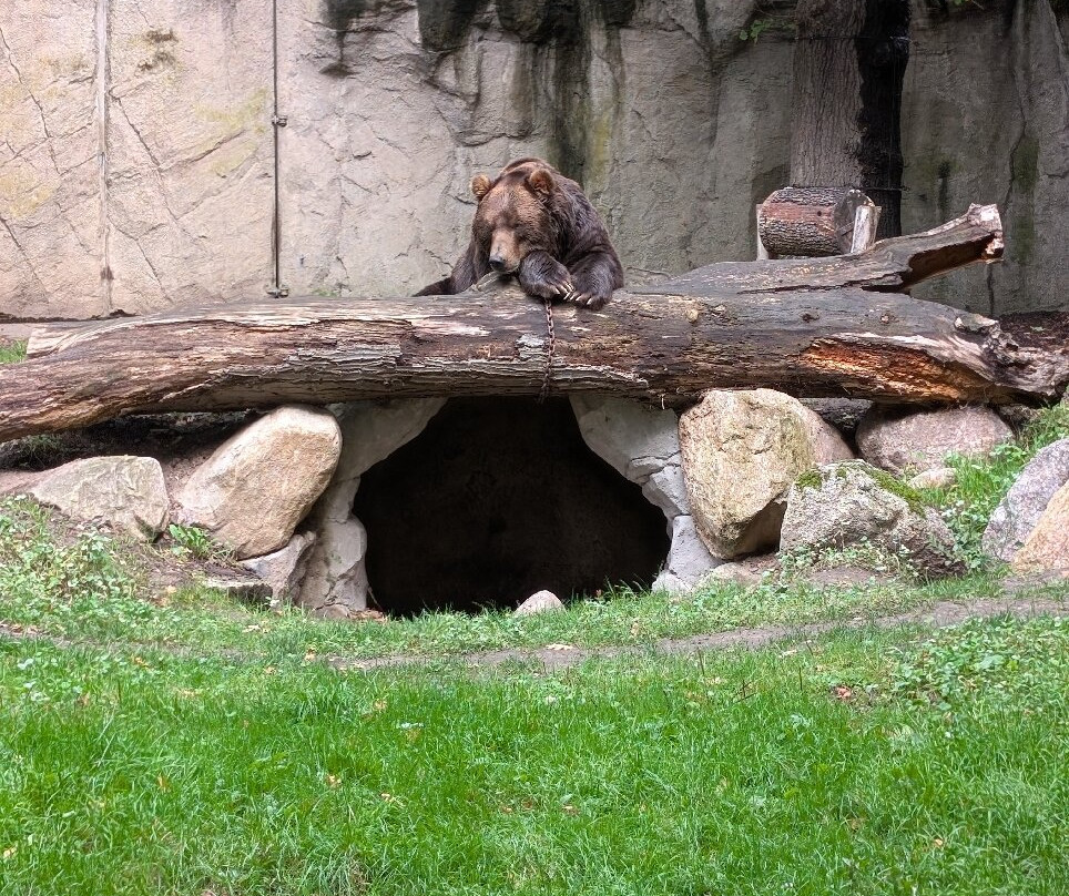 Tierpark Hagenbeck-汉堡必去景点