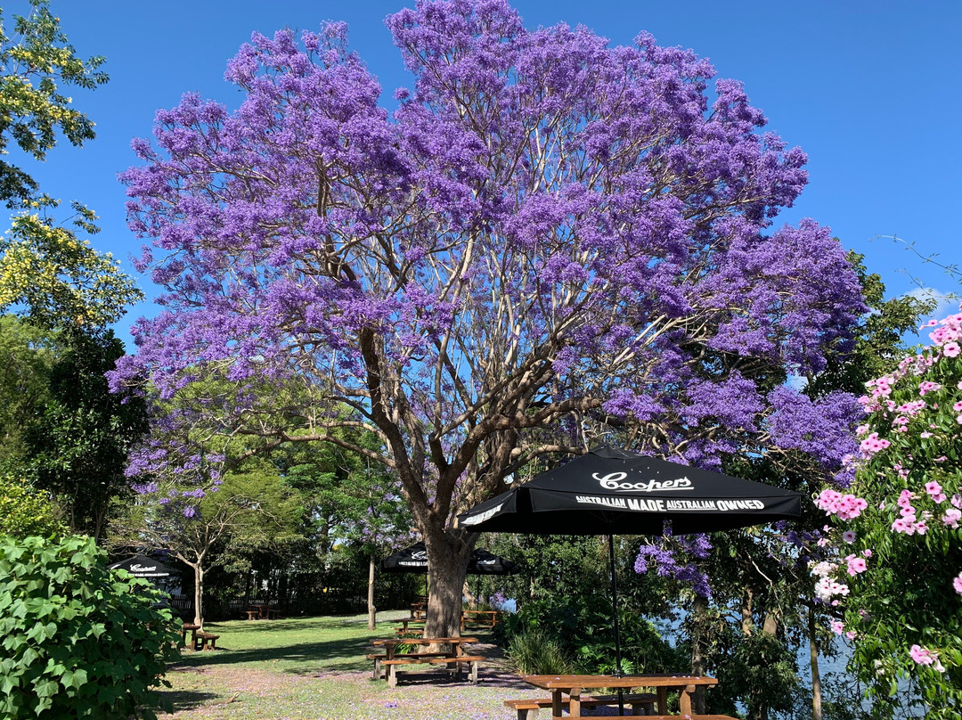 Tyndale酒店住宿-Ulmarra Hotel