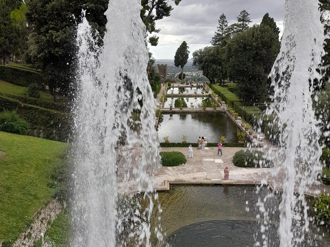 Il Giardino Di Alisa主图