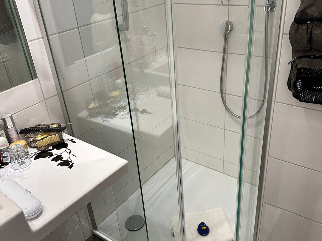 Parkhotel Sonnenberg Eltville主图