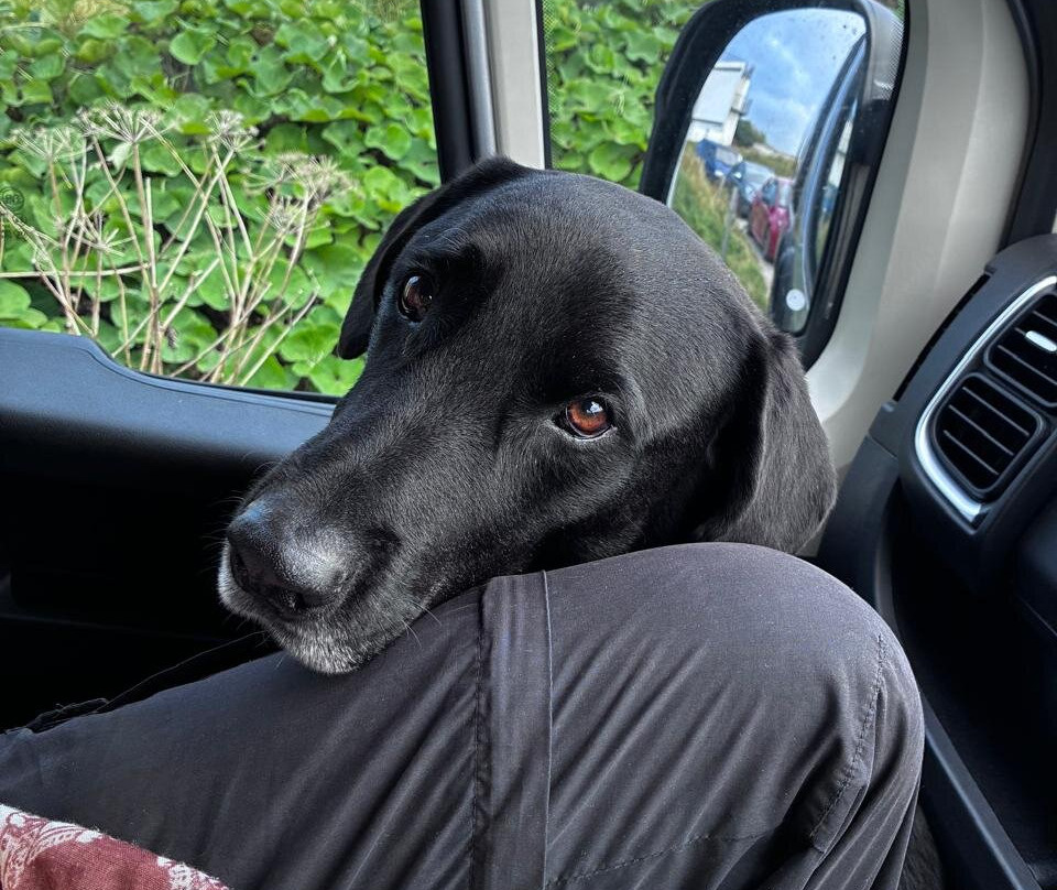 EasiCampers Edinburgh-Newbridge必去景点