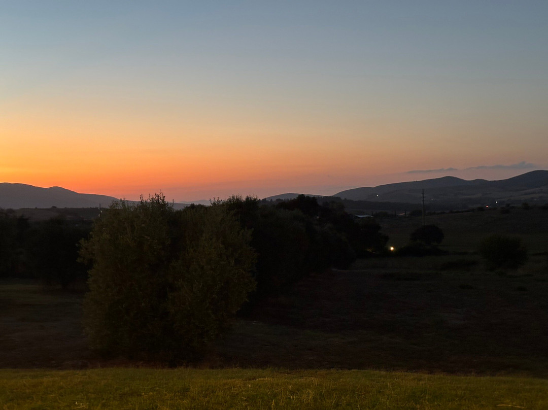 Tenuta Del Sasso