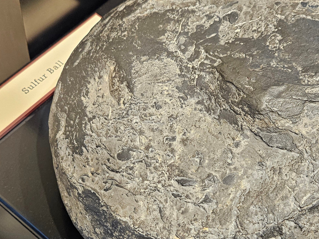 Beckley Exhibition Coal Mine and Youth Museum-Beckley必去景点