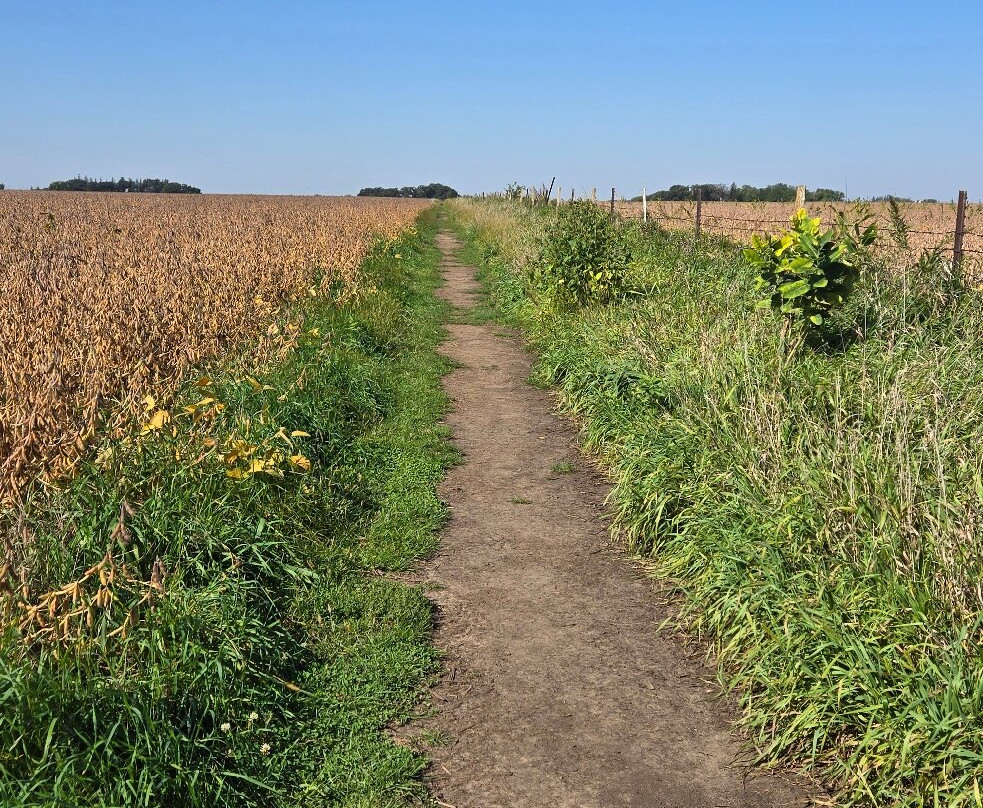 Plane Crash Site of Buddy Holly-Clear Lake必去景点