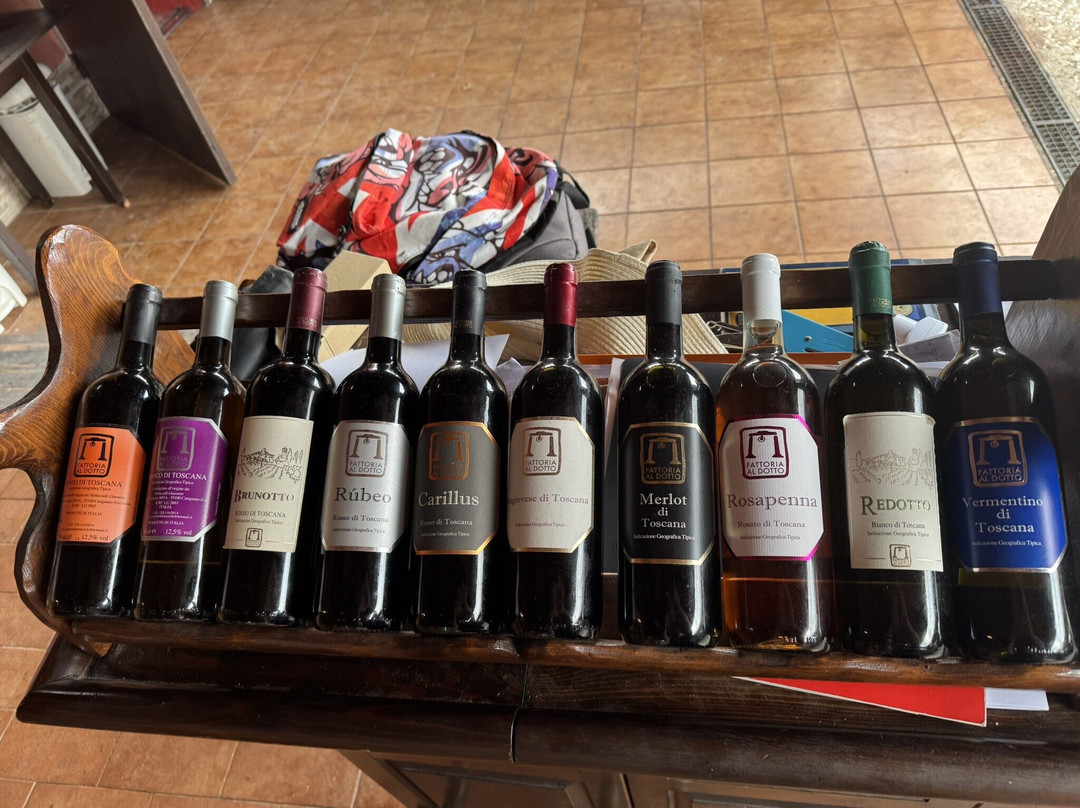 Fattoria Al Dotto-卢卡必去景点