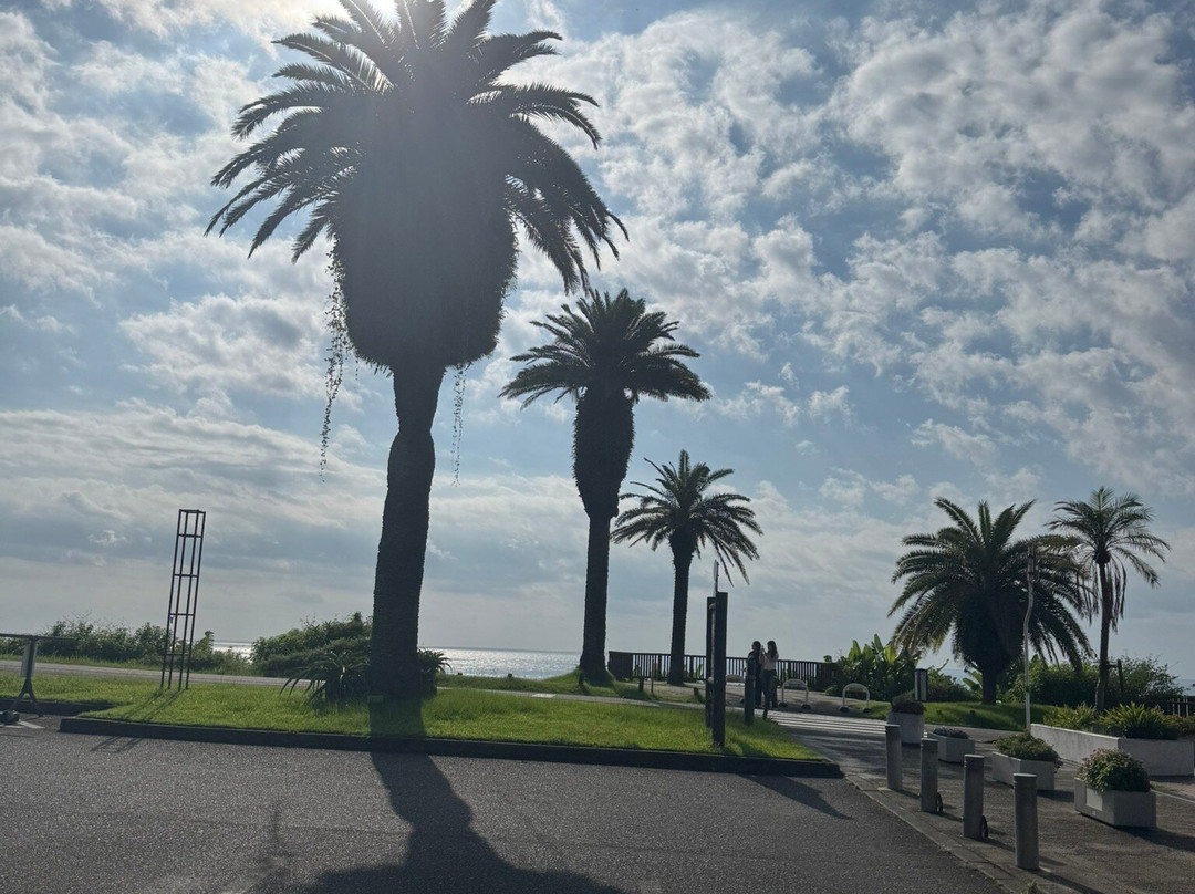 Michi-no-Eki Phoenix-宫崎市必去景点