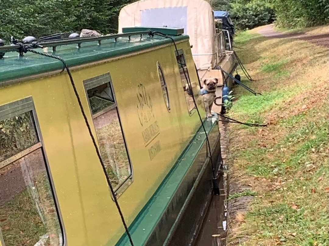 Castle Narrowboats-Gilwern必去景点