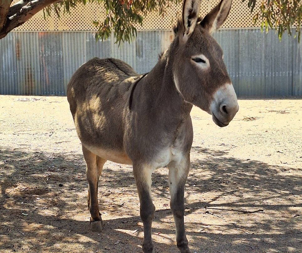 Gateway Motor Inn主图