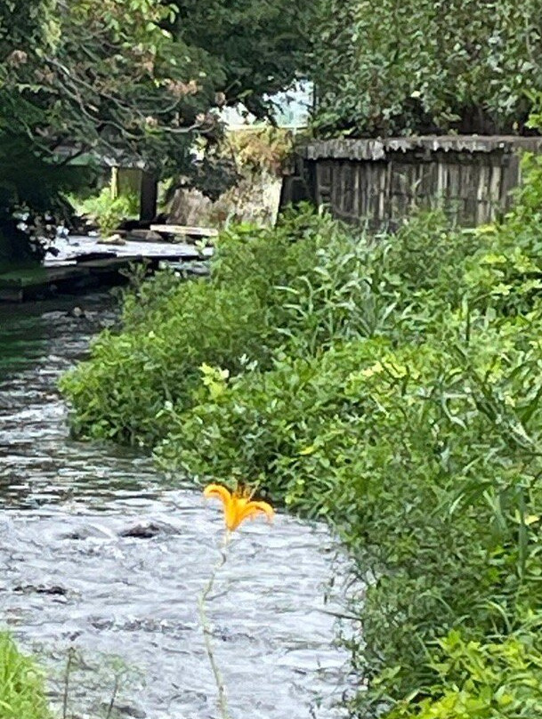 Gempeigawa River-三岛市必去景点