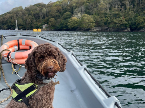 Fowey Boat Hire-福伊必去景点