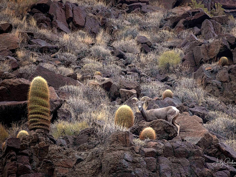 Hatch River Expeditions-弗拉格斯塔夫必去景点