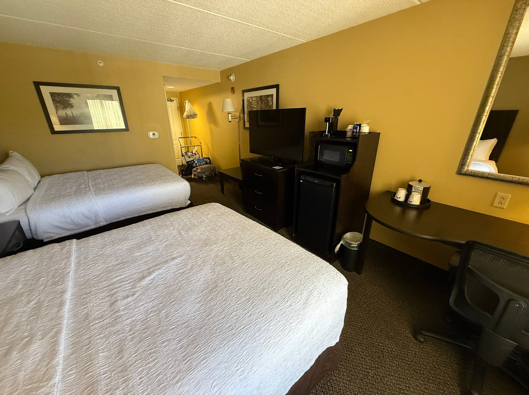 亚历山德里亚希尔顿恒庭旅馆&套房酒店主图