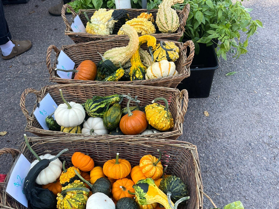 Burlington Farmers Market-伯灵顿必去景点
