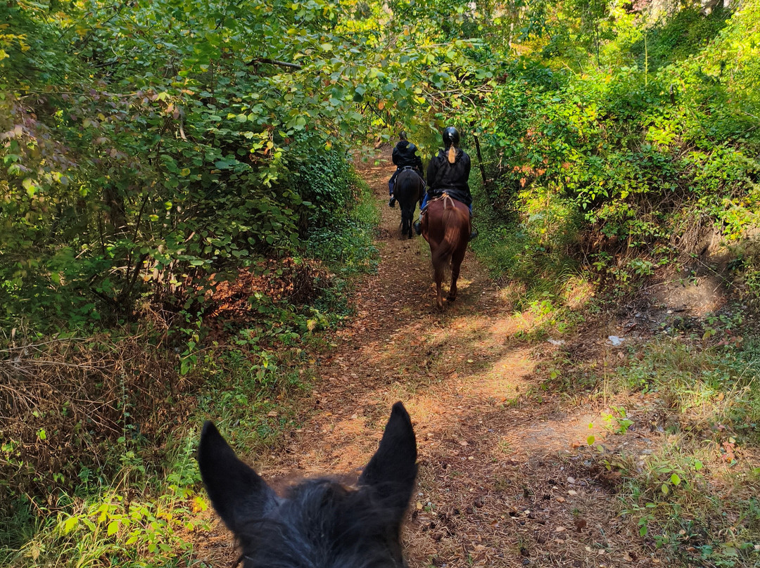 Horseriding Bulgaria - Day Tours-索非亚必去景点