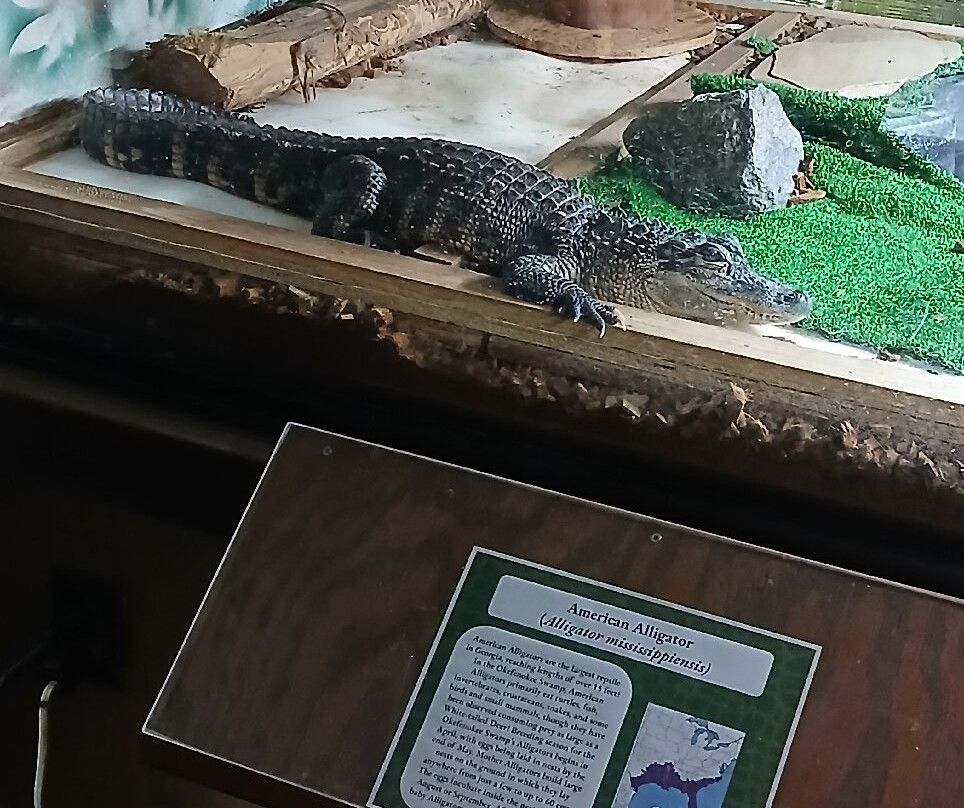 Okefenokee Swamp Park-Waycross必去景点