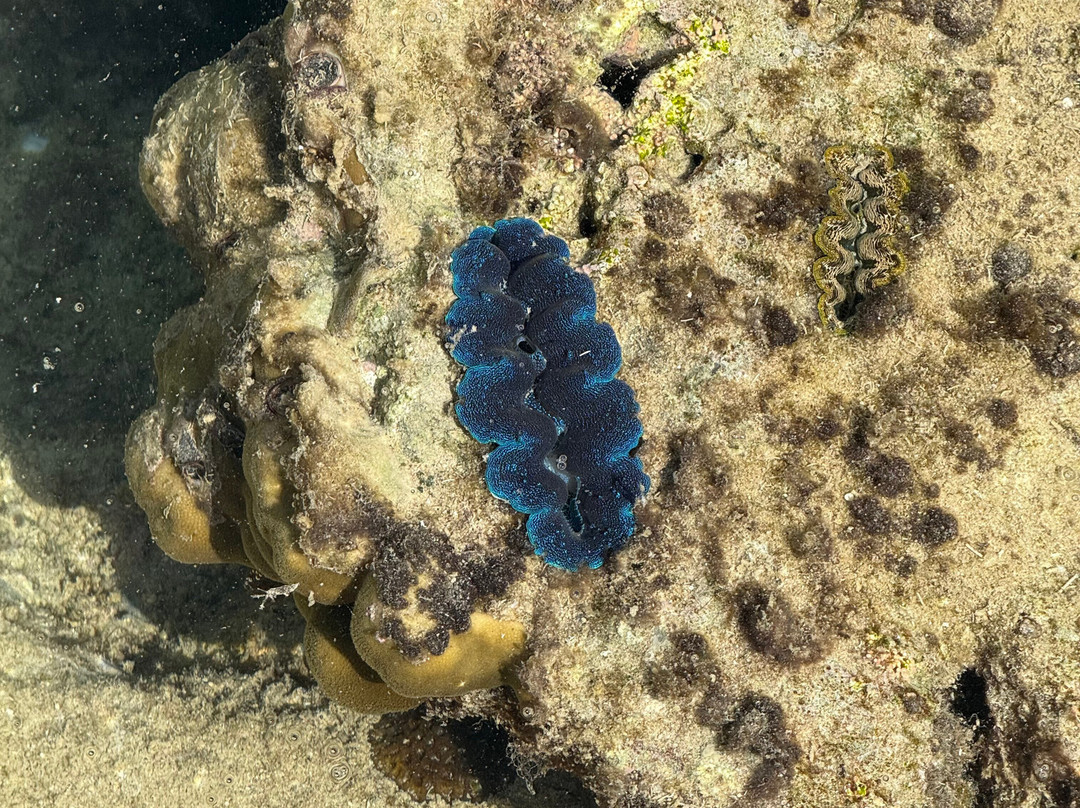 Hotel Hoshitate Iriomotejima主图