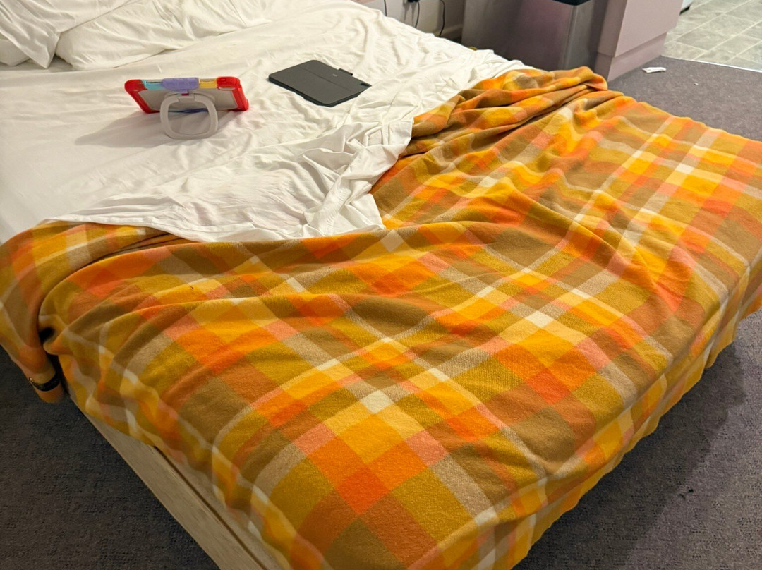 Blue Lagoon Lodge主图