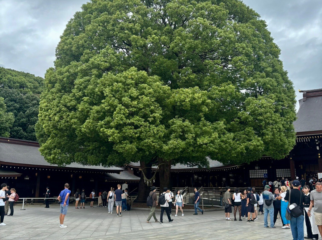 Meiji Shrine Imperial Garden-涩谷区必去景点
