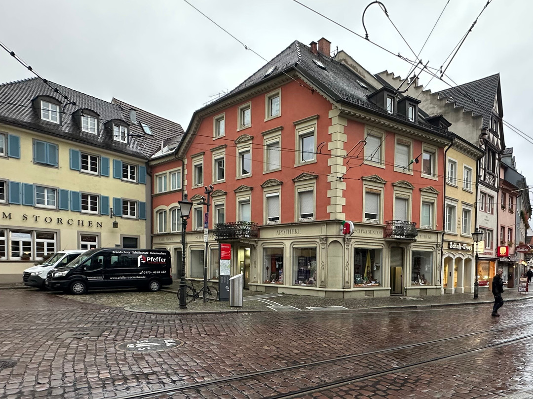 Münsterplatz-佛莱堡必去景点