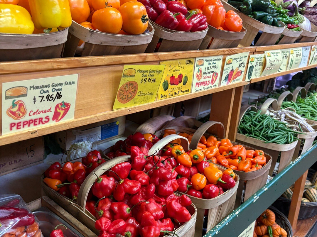 Morning Glory Farm-Edgartown必去景点