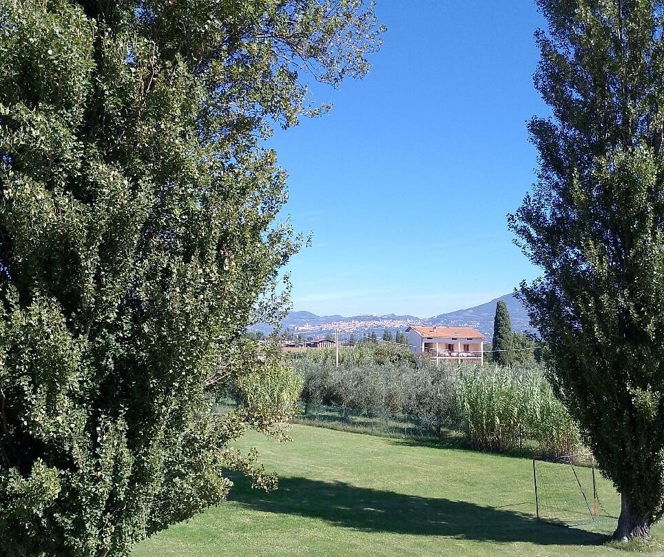 Le Rondini Di Francesco Di Assisi - Agriturismo主图