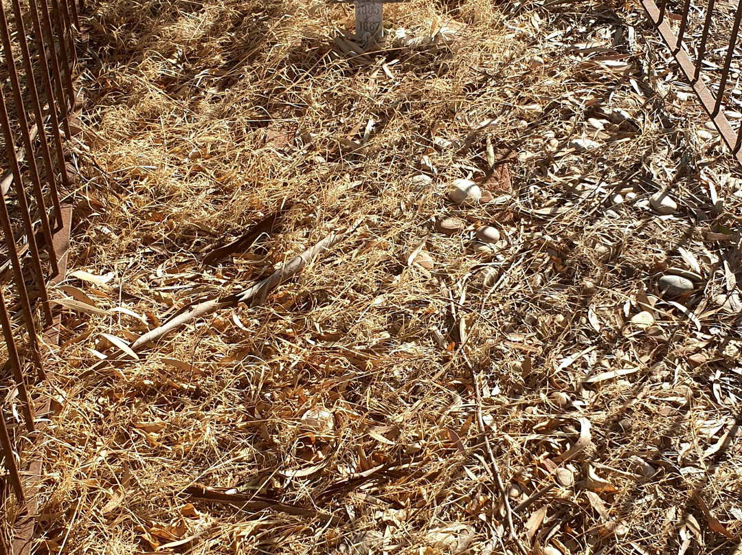 Sellicks Hill Cemetery-Sellicks Hill必去景点