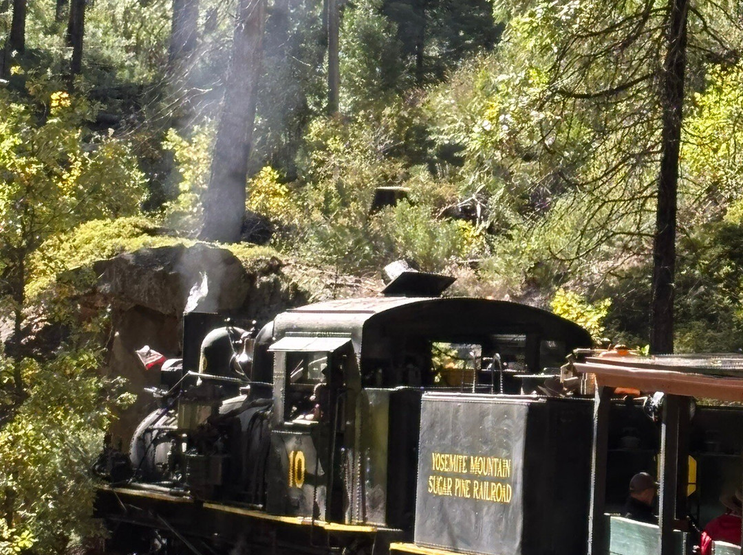 Yosemite Mountain Sugar Pine Railroad-菲什营必去景点