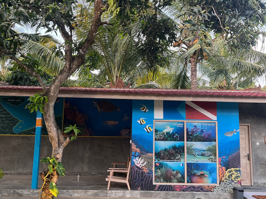 Menjangan Snorkeling Trip & Diving-佩母德兰必去景点