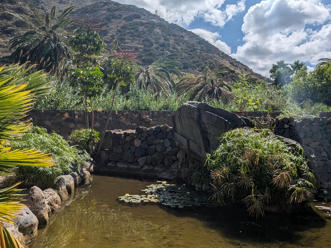 Jardin Botanico del Descubrimiento de Vallehermoso-Vallehermoso必去景点
