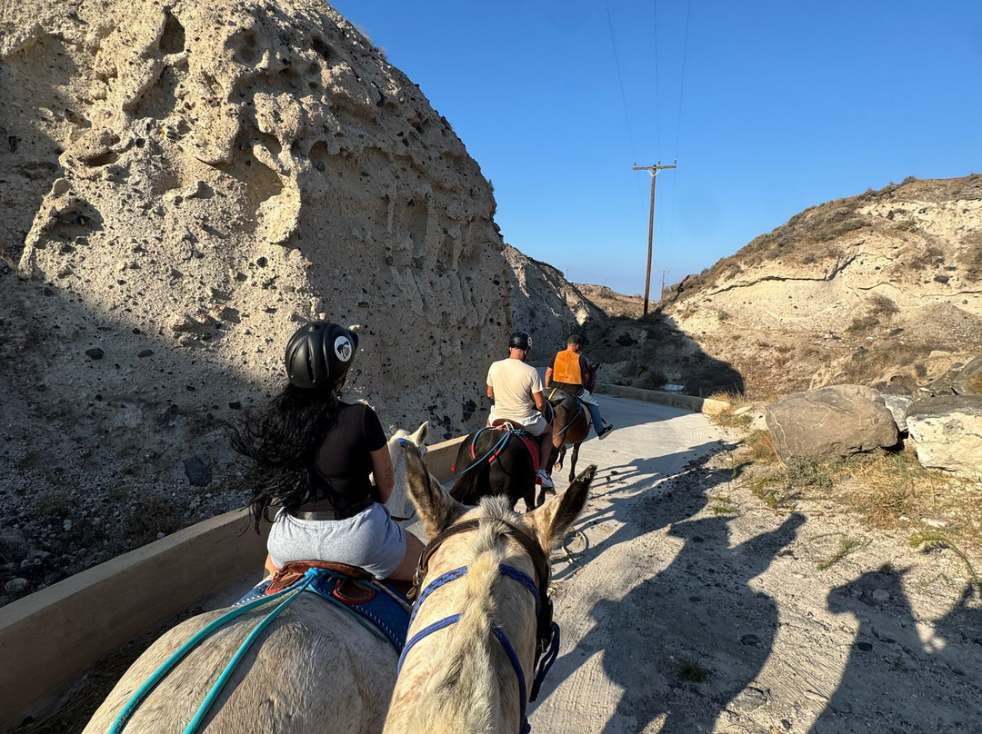 Maris Horseriding Santorini-费拉必去景点