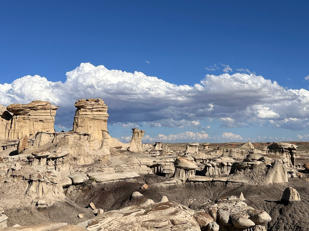 Navajo Tours USA-Nageezi必去景点