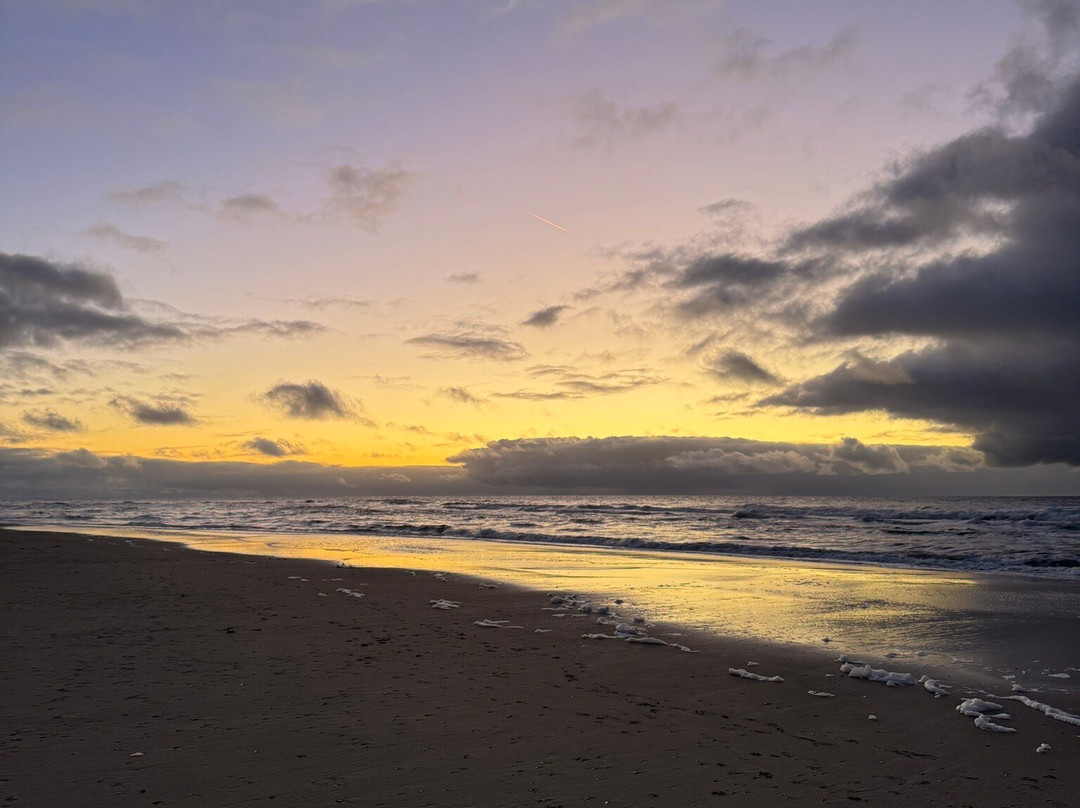 Vuurtorenweg Texel Beach-De Cocksdorp必去景点