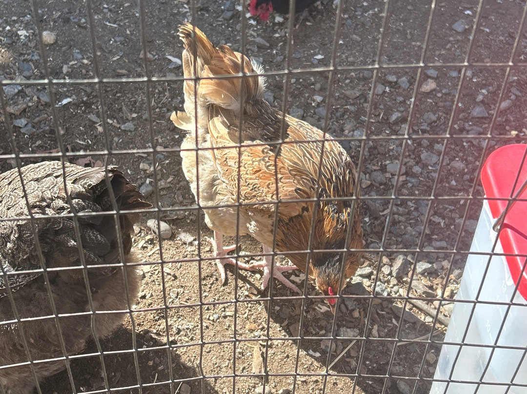 Muscoot Farm-Katonah必去景点