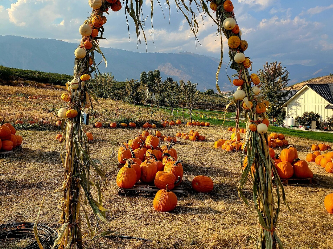 Lagriōth Winery at Chelan Valley Farms-Manson必去景点
