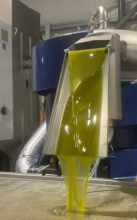 Askra Olive Oil- Lymperis Estate-Askri必去景点