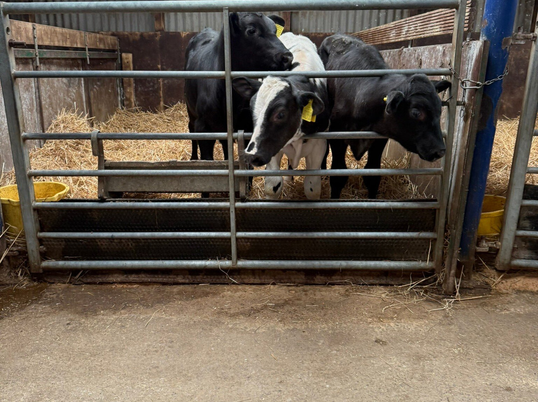 Swithens Farm-Rothwell必去景点
