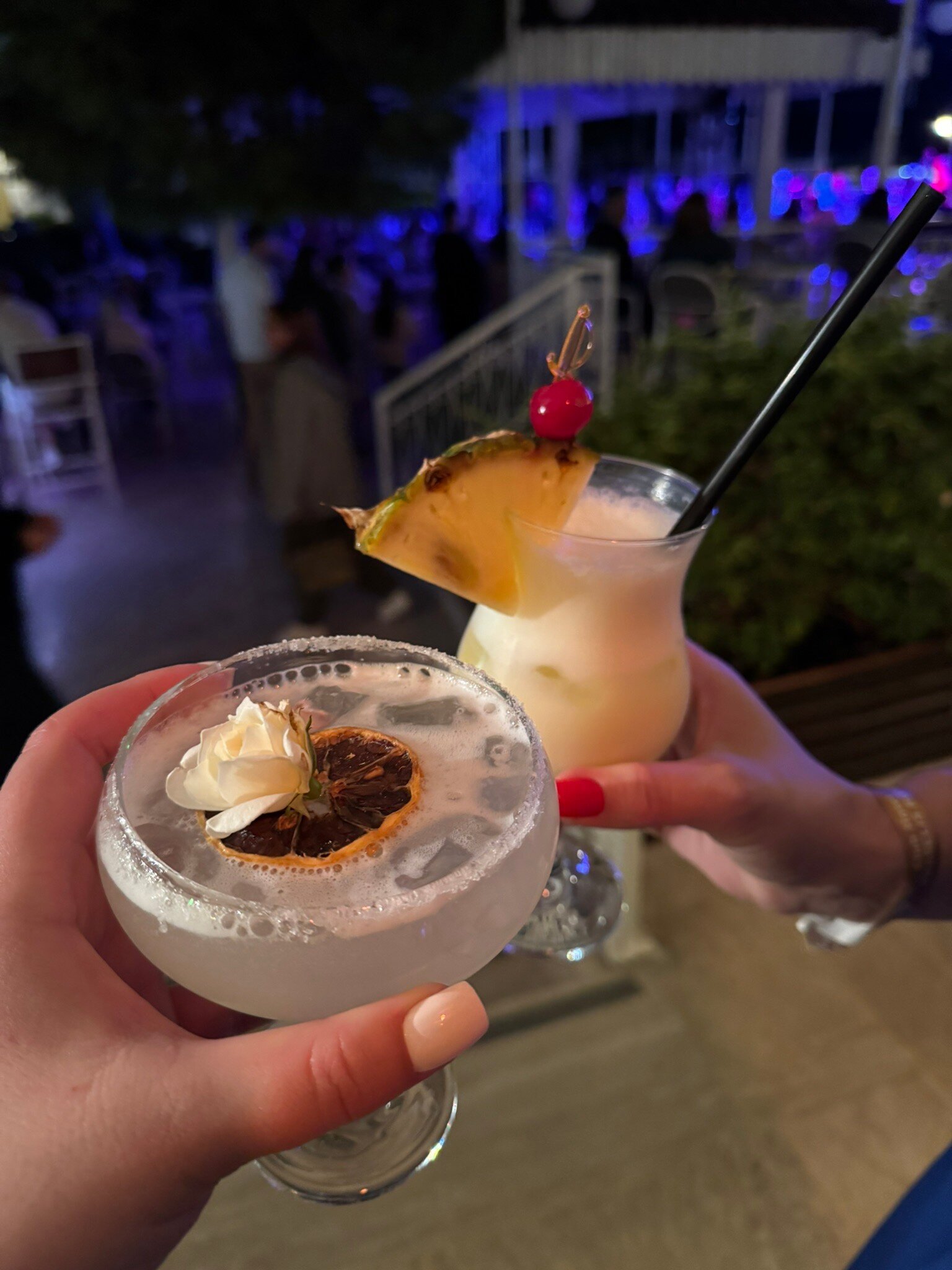 Club Hotel Phaselis Rose-官方