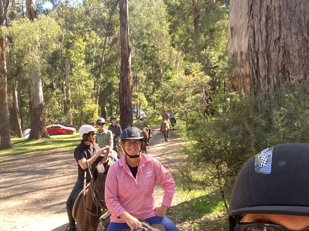 Watson's Mountain Country Trail Rides - Day Tours-曼斯菲尔德必去景点