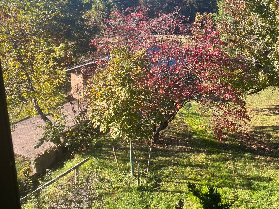 Meadowlark Ridge Bed and Breakfast主图