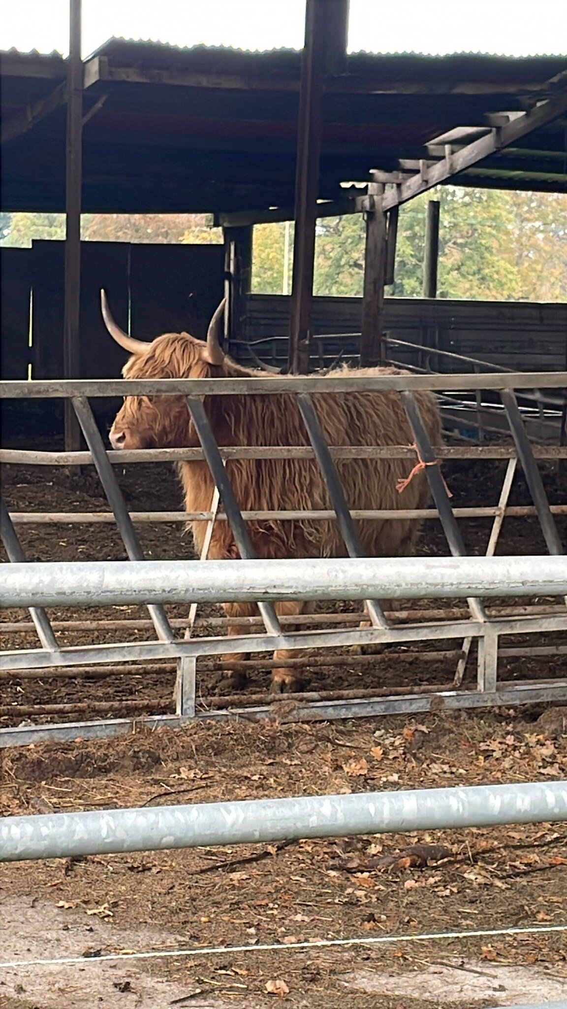 Yew Tree Farm-官方