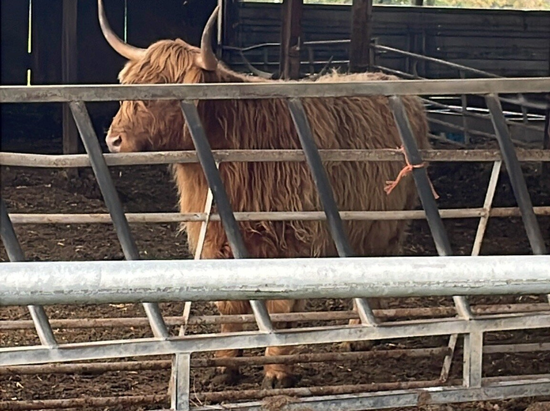 Yew Tree Farm主图