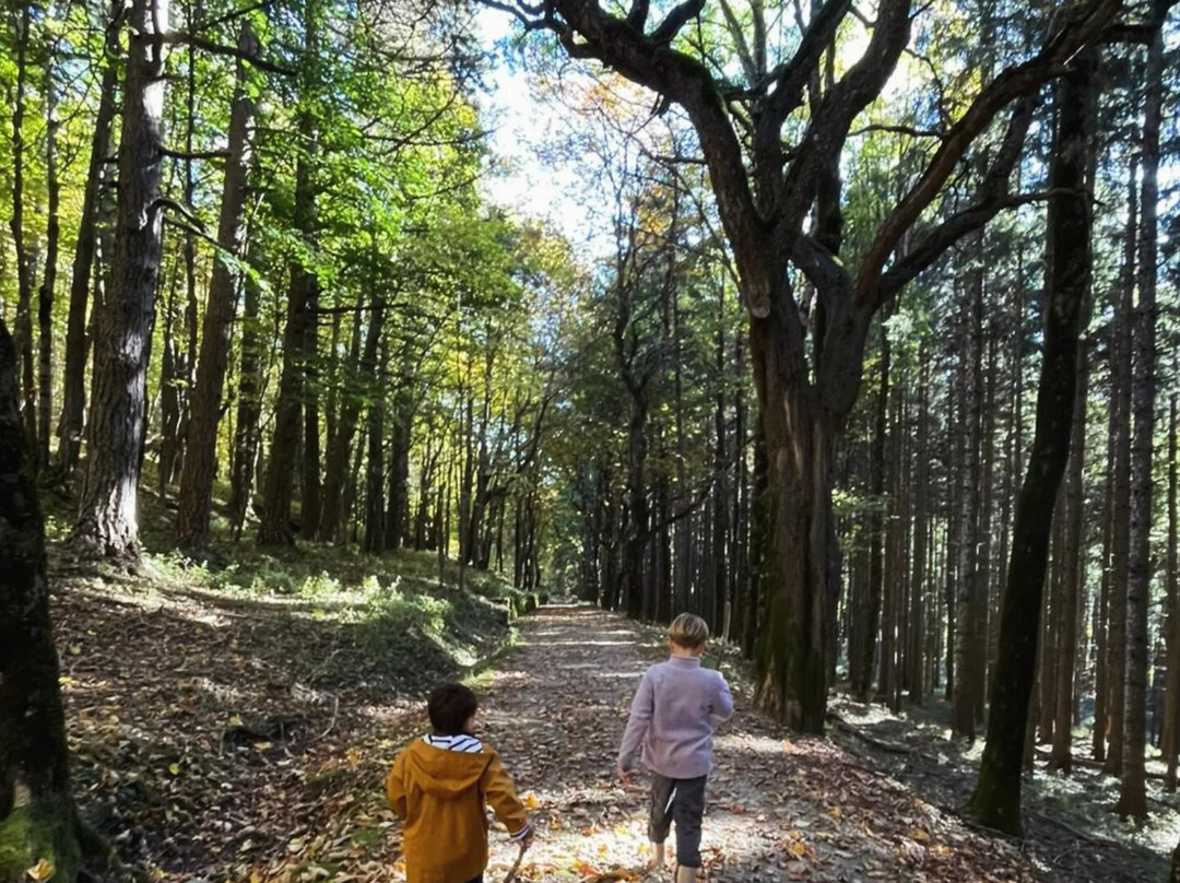 Albergo Lo Scoiattolo