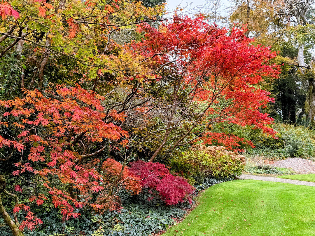 Small Escorted Tours Of Ireland-基尔肯尼必去景点