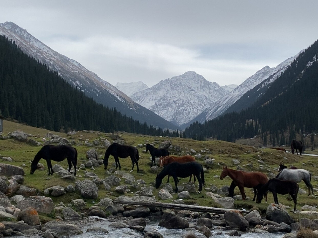 Kyrgyz Wonders Travel-比斯凯克必去景点