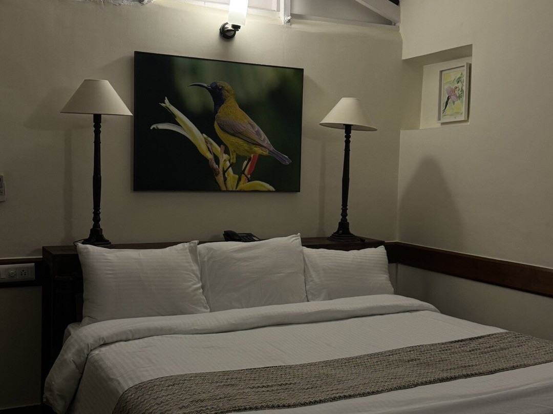 Neemrana's Glasshouse On The Ganges主图