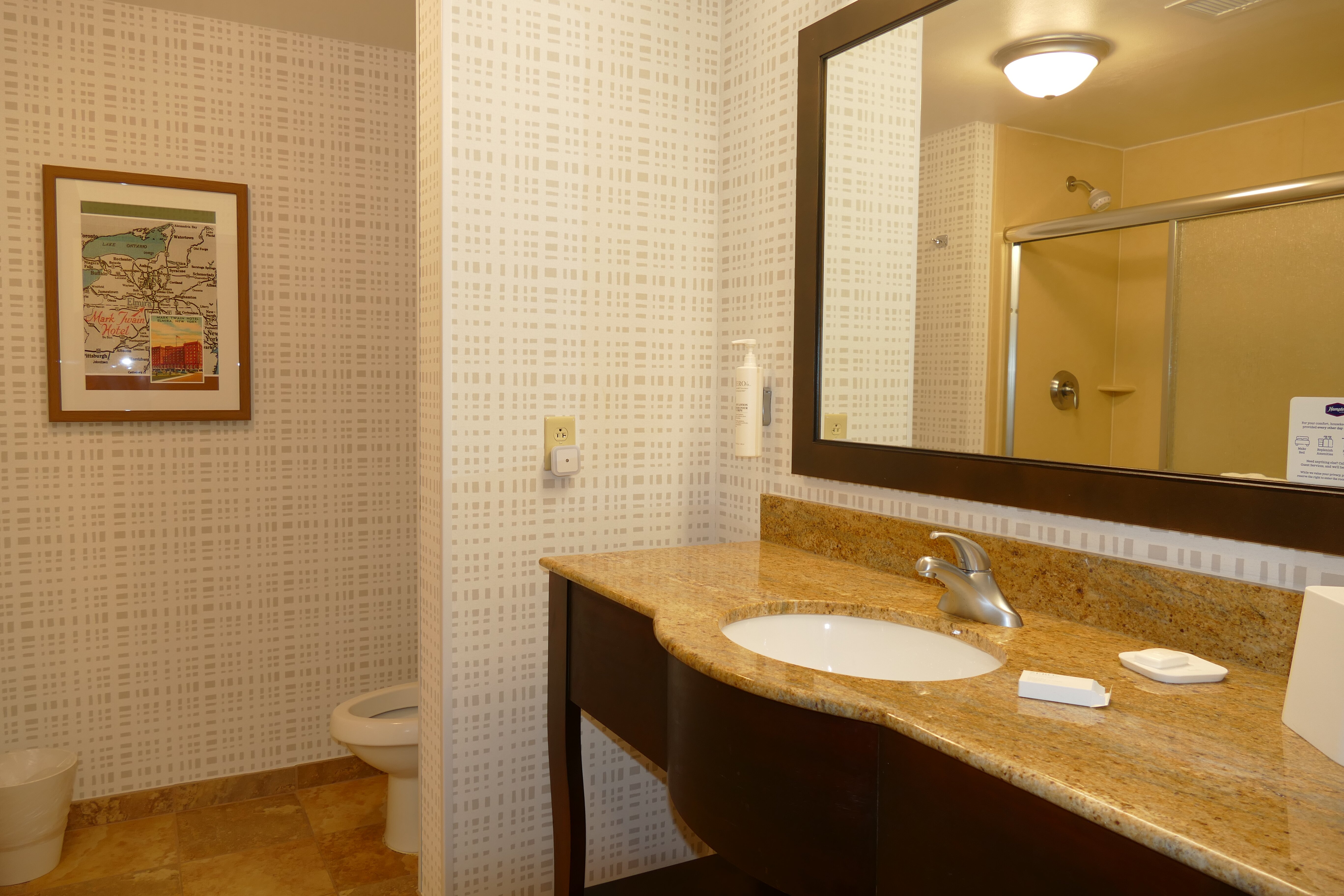 埃尔迈拉/荷尔斯海兹希尔顿恒庭酒店-浴室